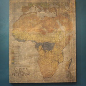 Carte continent african