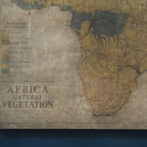 Carte continent african